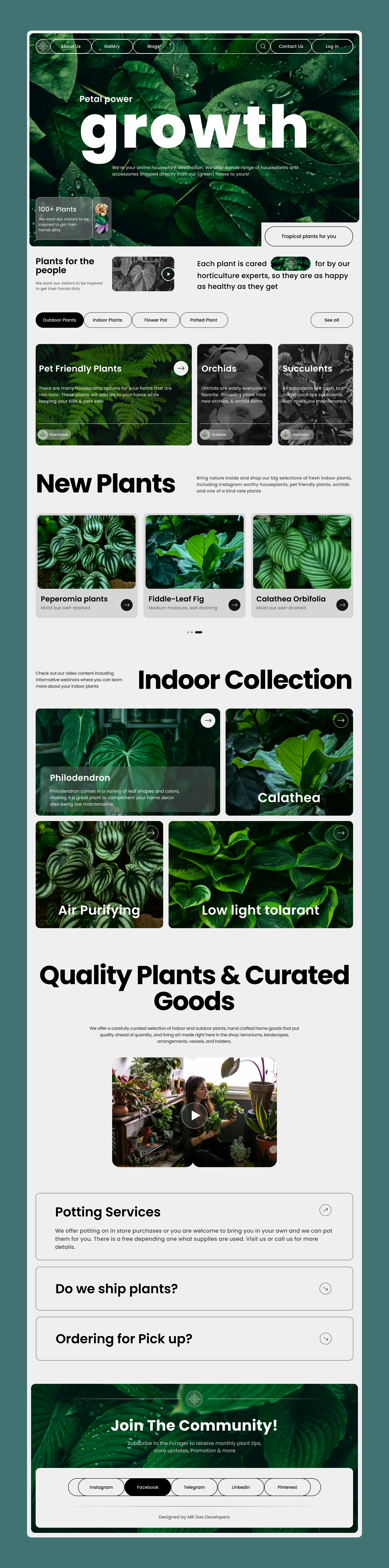 HouseTree Green Architecture Portal Website Design